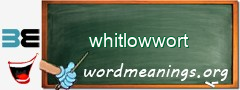 WordMeaning blackboard for whitlowwort